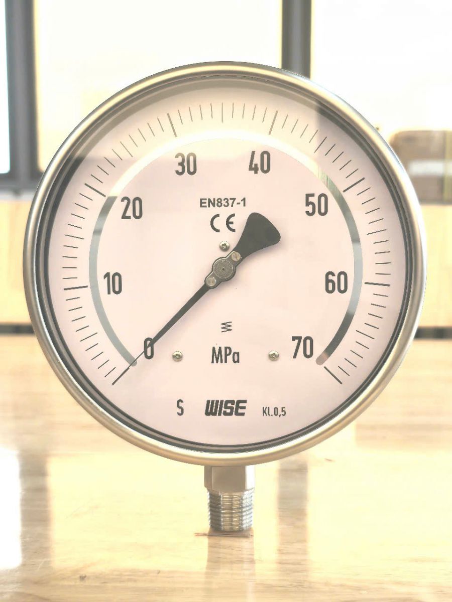 Đồng hồ test áp suất Wise P229